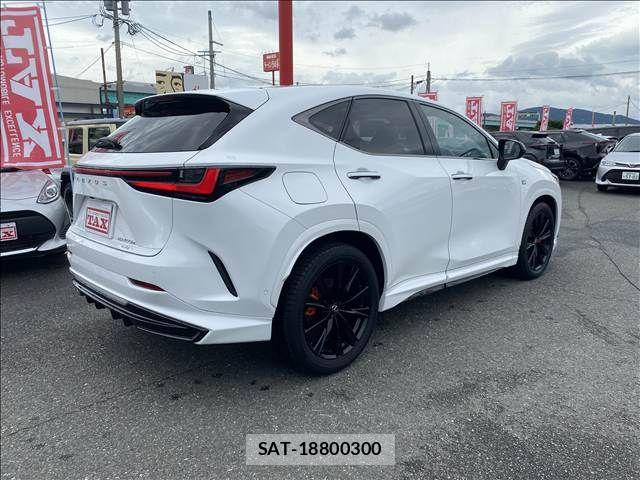 Lexus NX 2024-03 7877442-13