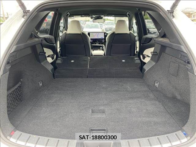 Lexus NX 2024-03 7877442-14
