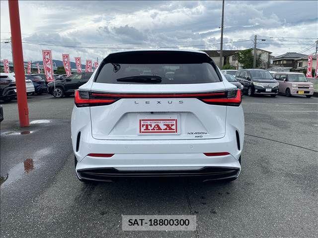 Lexus NX 2024-03 7877442-15
