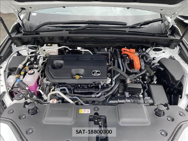 Lexus NX 2024-03 7877442-17