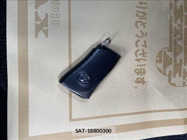 Lexus NX 2024-03 7877442-18