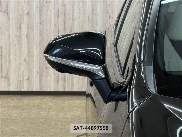 Lexus NX 2023-03 7877444-25