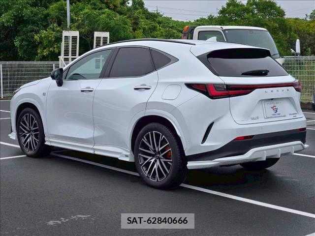 Lexus NX 2023-07 7962448-15