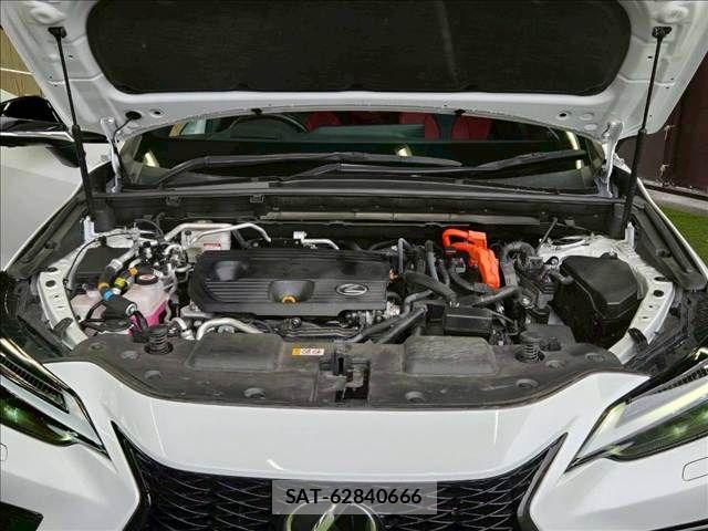 Lexus NX 2023-07 7962448-17