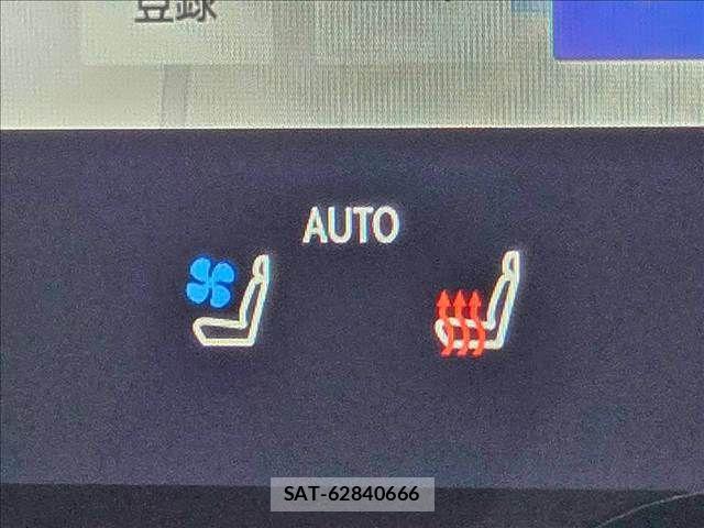 Lexus NX 2023-07 7962448-7