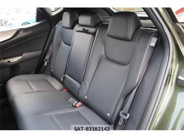 Lexus NX 2022-11 8074381-23