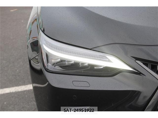 Lexus NX 2021-12 8100184-10
