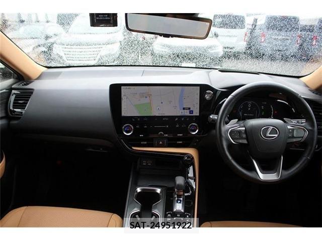 Lexus NX 2021-12 8100184-19