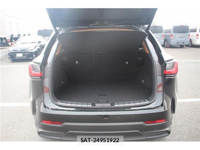 Lexus NX 2021-12 8100184-28