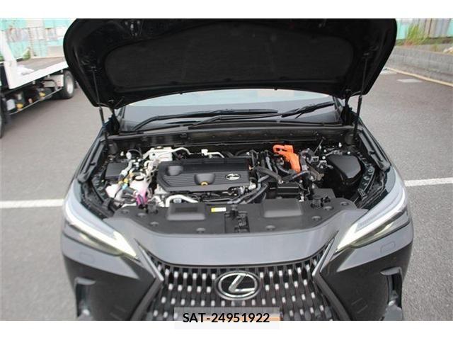 Lexus NX 2021-12 8100184-29