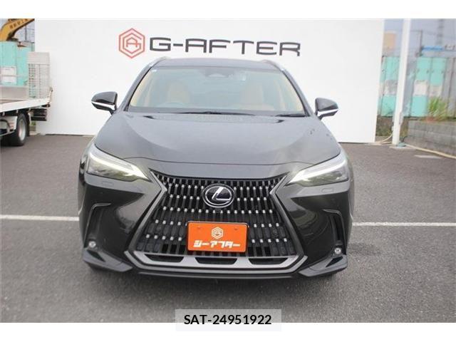 Lexus NX 2021-12 8100184-5
