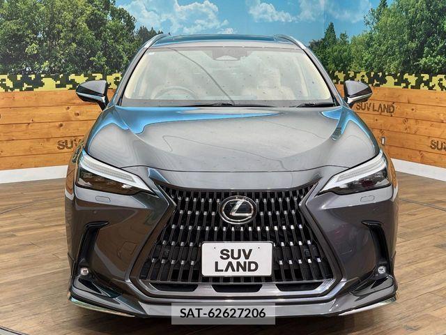 Lexus NX 2023-11 8131041-14