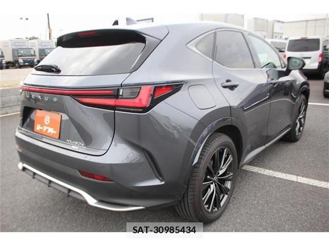 Lexus NX 2021-12 8208450-13