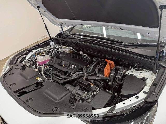 Lexus NX 2023-09 8245747-13