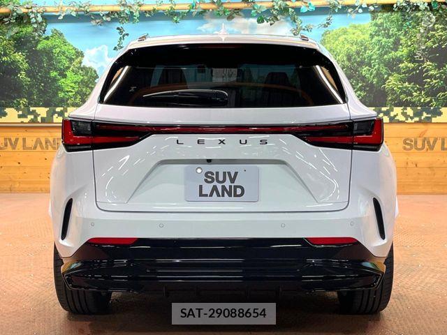 Lexus NX 2022-01 8245748-16