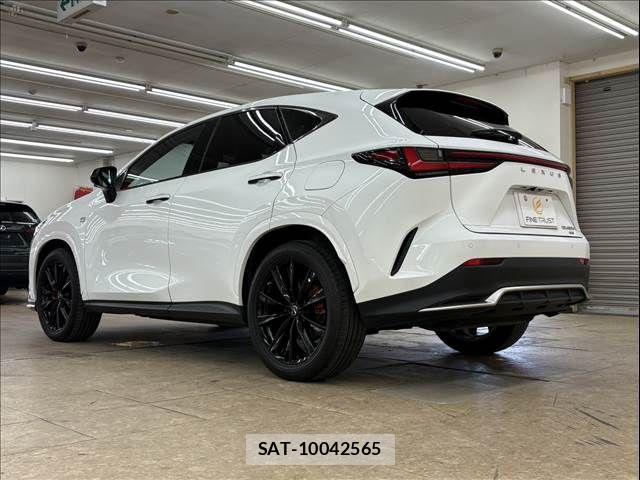 Lexus NX 2023-06 8315212-19