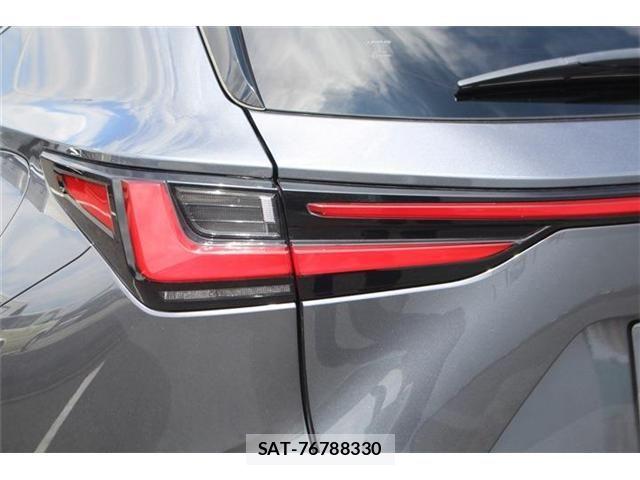 Lexus NX 2021-11 8354862-24