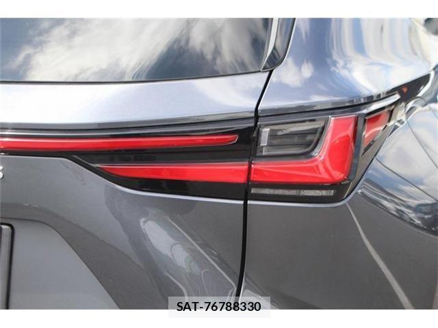 Lexus NX 2021-11 8354862-25