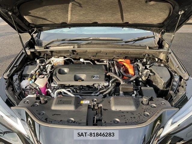 Lexus NX 2022-05 8413306-14