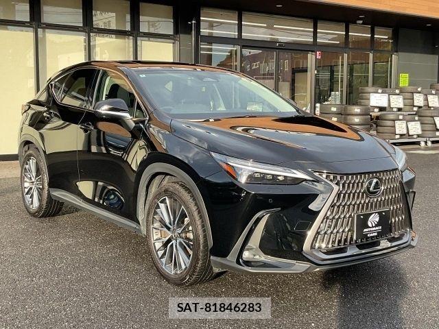 Lexus NX 2022-05 8413306-6