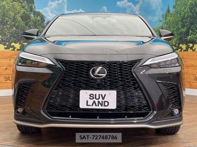 Lexus NX 2022-01 8457827-14