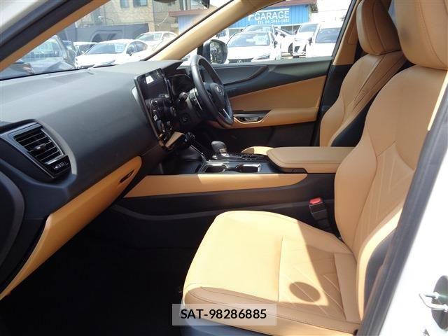 Lexus NX 2023-09 8525585-9