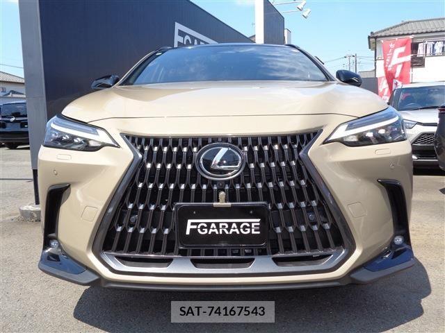 Lexus NX 2024-12 8562475-1