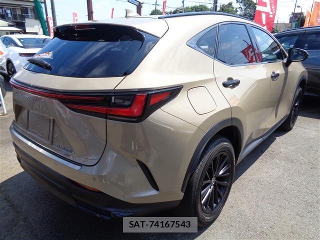 Lexus NX 2024-12 8562475-7