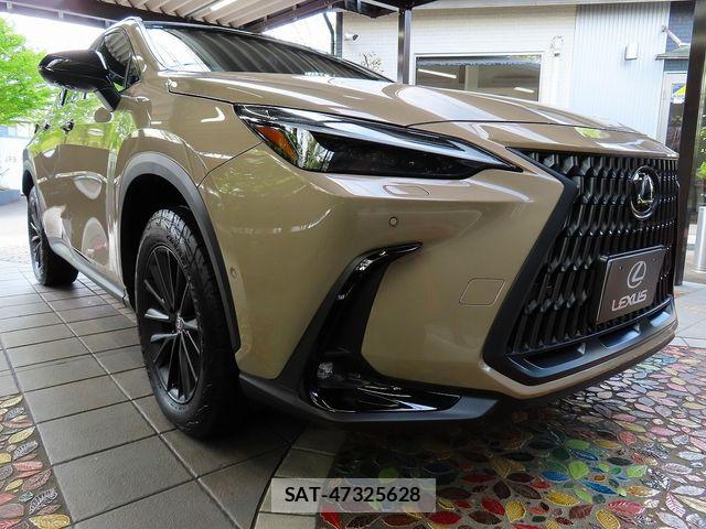 Lexus NX 2024-09 8562474-10