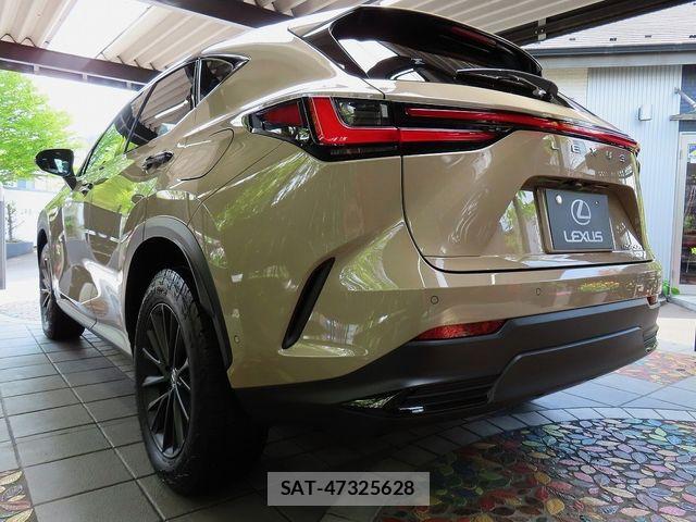 Lexus NX 2024-09 8562474-11