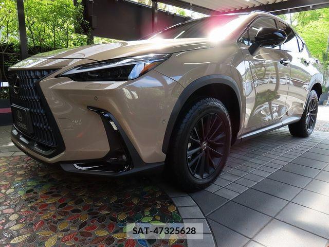 Lexus NX 2024-09 8562474-12