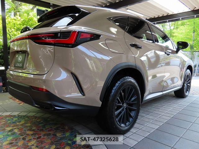 Lexus NX 2024-09 8562474-13