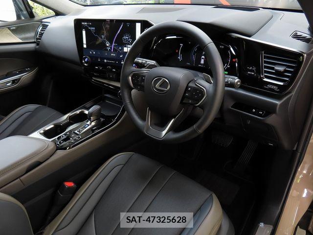 Lexus NX 2024-09 8562474-14