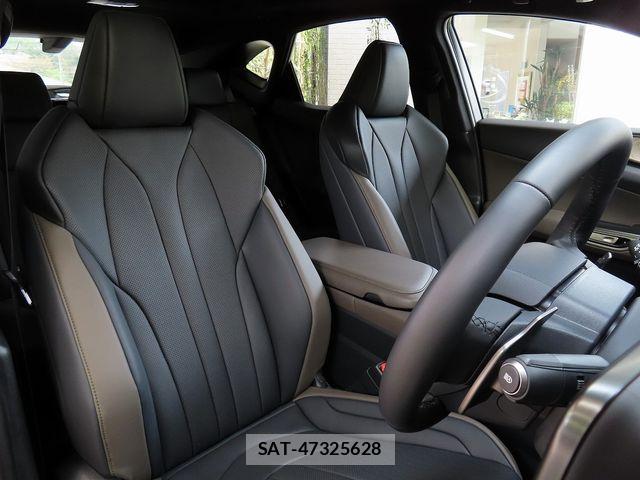 Lexus NX 2024-09 8562474-15