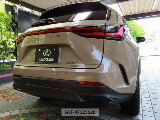 Lexus NX 2024-09 8562474-1