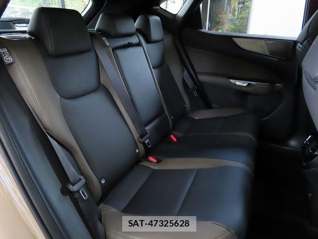 Lexus NX 2024-09 8562474-25