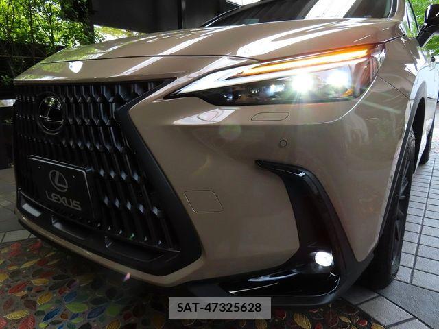 Lexus NX 2024-09 8562474-4