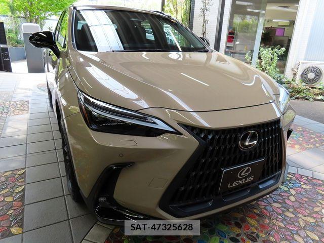 Lexus NX 2024-09 8562474-7