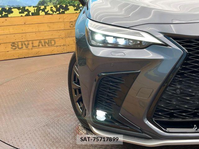 Lexus NX 2021-11 8659988-11