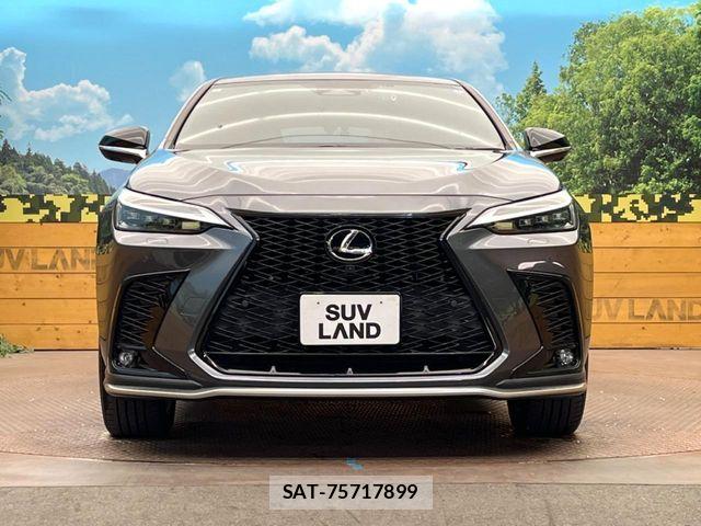 Lexus NX 2021-11 8659988-13