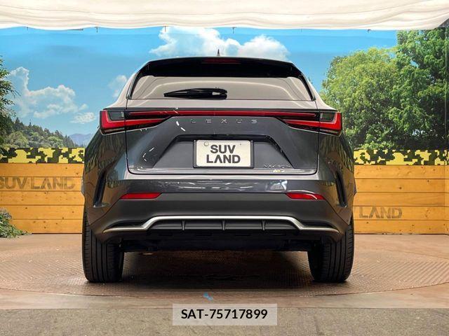 Lexus NX 2021-11 8659988-14