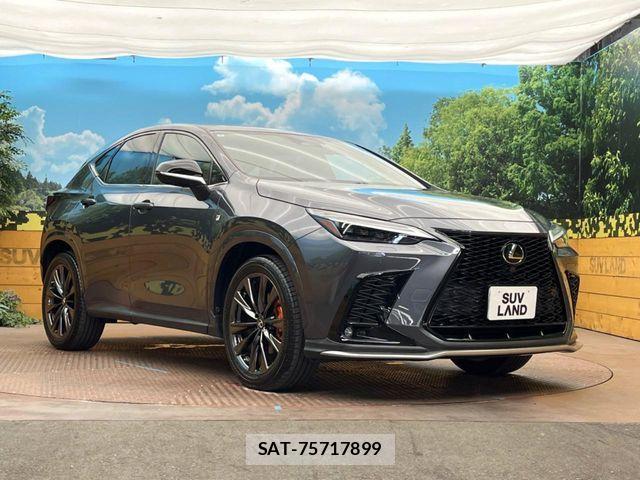 Lexus NX 2021-11 8659988-15
