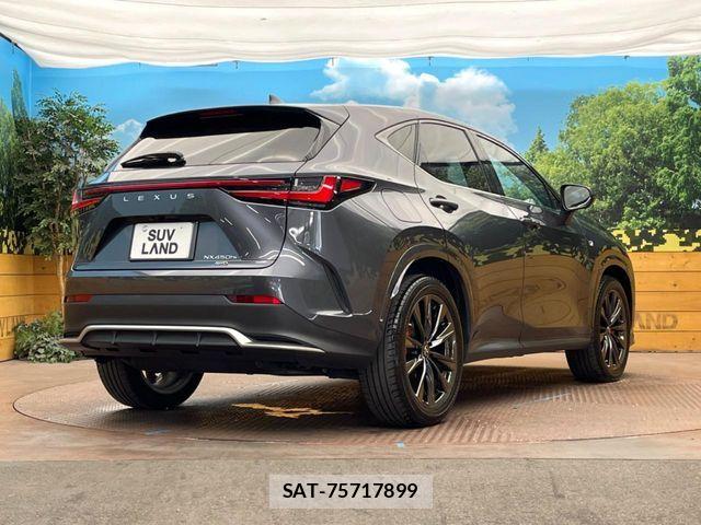 Lexus NX 2021-11 8659988-16