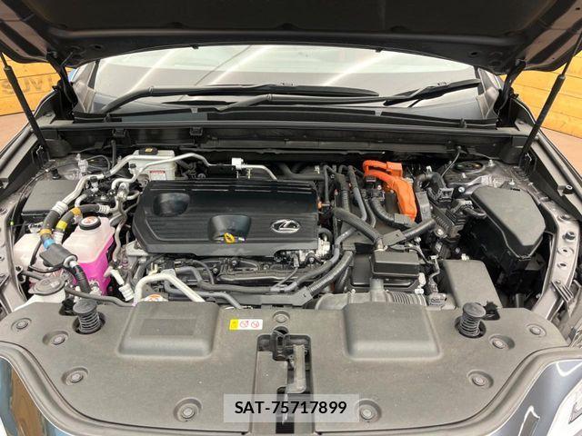 Lexus NX 2021-11 8659988-17