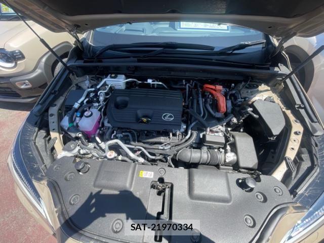 Lexus NX 2024-08 8780900-28