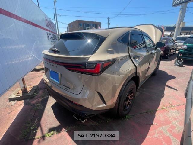 Lexus NX 2024-08 8780900-4