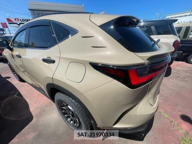Lexus NX 2024-08 8780900-5
