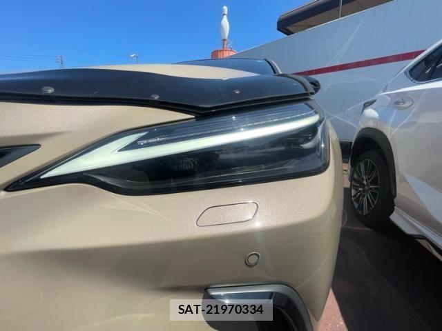 Lexus NX 2024-08 8780900-8