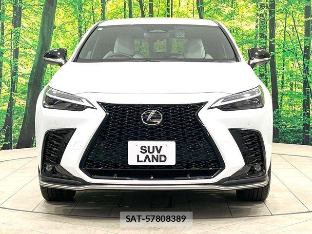Lexus NX 2023-02 8780901-14