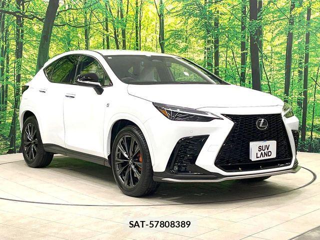 Lexus NX 2023-02 8780901-16